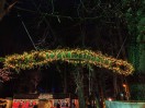 Halsbacher Waldweihnacht